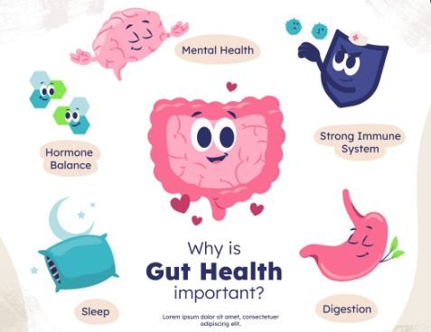 Preventive Importance of Gut Health