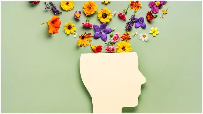 How Can You Prevent Heart Disease and High Blood Pressure?