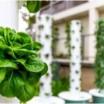 Innovative Plant Stands for Your Garden