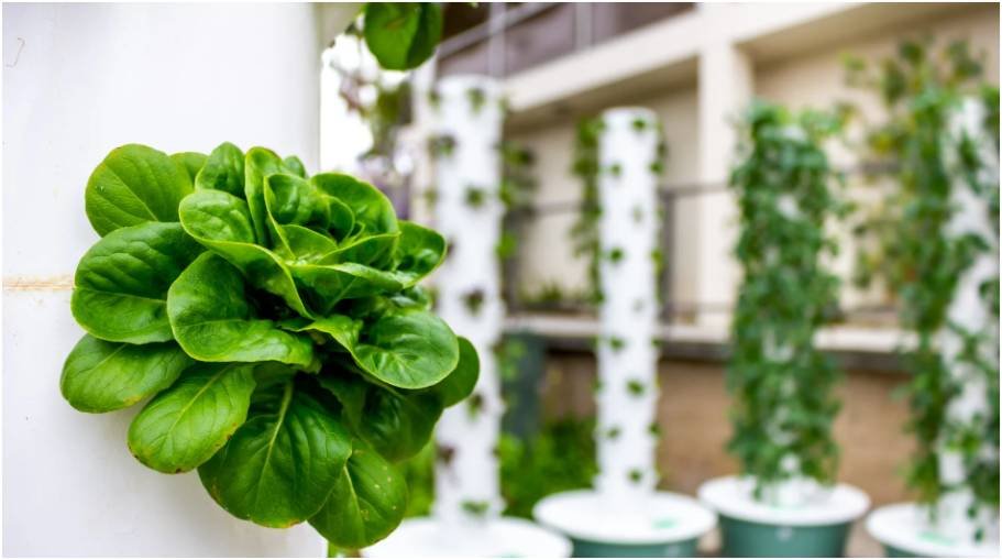 Innovative Plant Stands for Your Garden