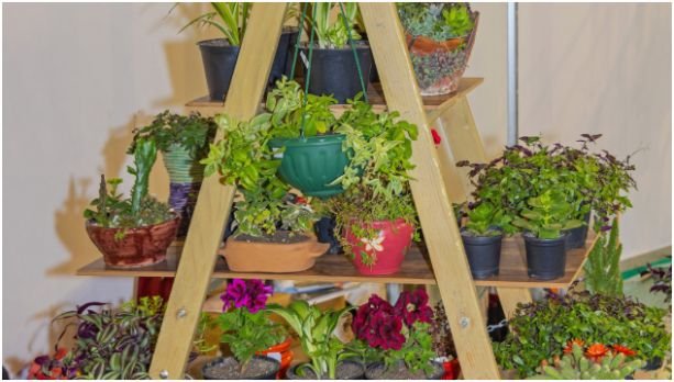Environmental Considerations