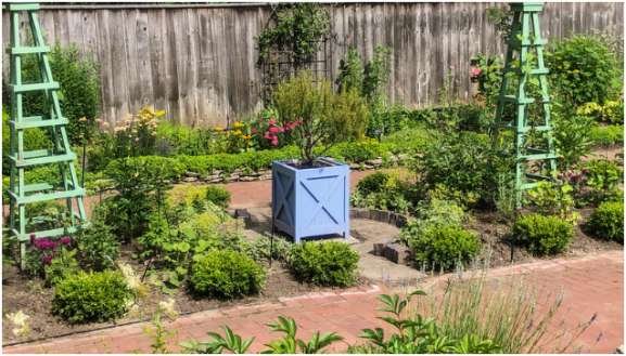 Types of Innovative Plant Stands